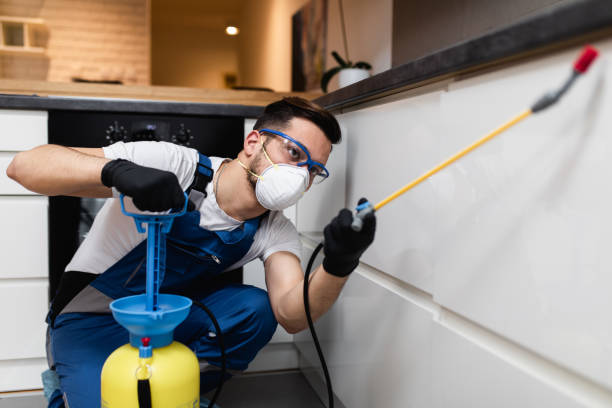 Best Insect Control  in Hurstbourne, KY