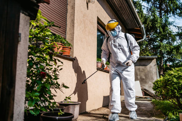 Best Rat Extermination Near Me  in Hurstbourne, KY