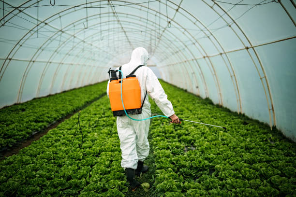 Professional Pest Control in Hurstbourne, KY