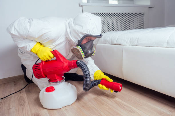 Best Wasp Removal Services  in Hurstbourne, KY
