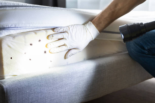 Best Pest Control for Homes  in Hurstbourne, KY